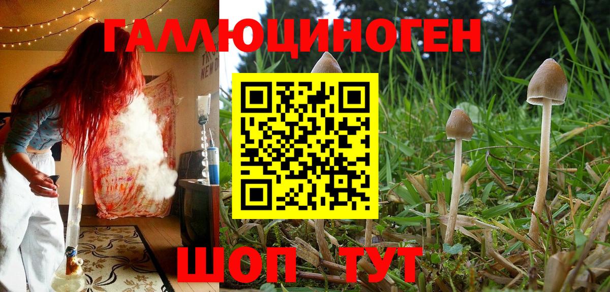 Миллерово  Псилоцибиновые грибы мицелий  Псилоцибиновые грибы мухоморы  где можно купить наркотик  Вход с VPN 