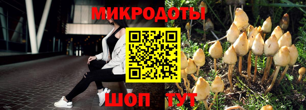 Псилоцибиновые грибы прущие грибы Миллерово